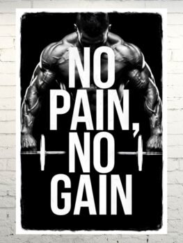 No Pain No Gain 5 - Image 1